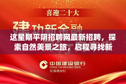 平陰招聘網更新，探索自然美景與尋找新工作的和諧之旅