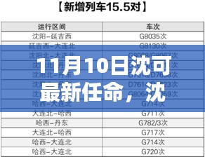 沈可新任命的背后，背景、影響與時(shí)代地位分析（最新更新）