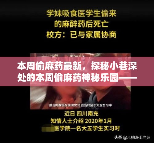 探秘隱藏版特色小店，本周偷麻藥神秘樂園的獨特魅力