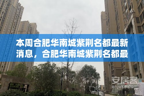 合肥華南城紫荊名都最新動(dòng)態(tài)速遞，掌握最新消息的步驟指南