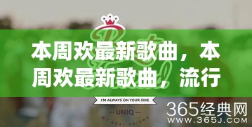 本周熱門歌曲解析，流行音樂的魅力與熱門單曲回顧