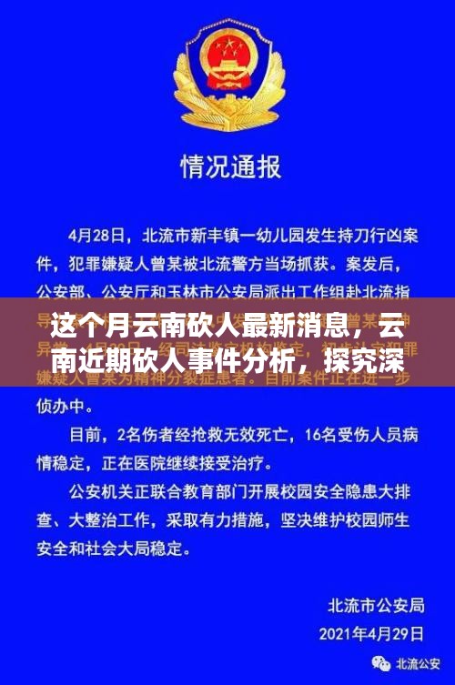 云南砍人事件最新消息，深層原因探究與各方觀點分析