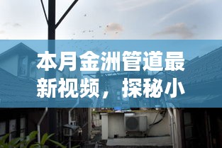 探秘小巷深處的金洲管道傳奇，最新視頻展現(xiàn)獨(dú)特風(fēng)情
