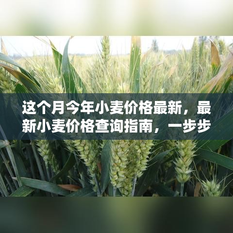 新聞中心 第215頁(yè)
