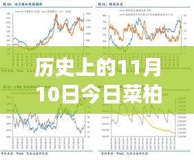 歷史上的11月10日，菜柏價(jià)格背后的勵(lì)志故事與最新行情，自信成就感的源泉