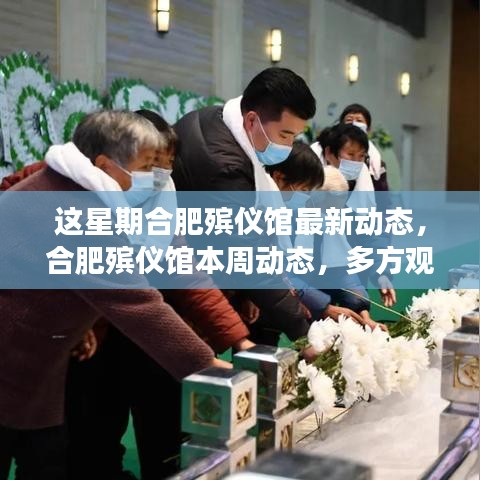 合肥殯儀館本周多方觀點深度解讀，最新動態(tài)與探討