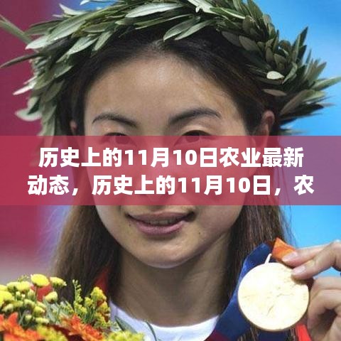 歷史上的11月10日農(nóng)業(yè)之旅，探尋自然美景，開啟內(nèi)心平靜的力量新篇章