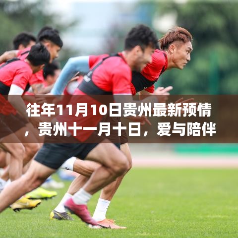 貴州十一月十日，愛與陪伴的溫馨故事揭曉