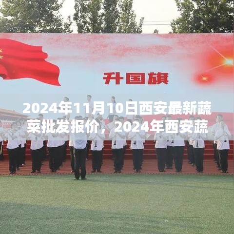 2024年西安蔬菜批發(fā)報(bào)價(jià)指南，獲取最新報(bào)價(jià)全攻略