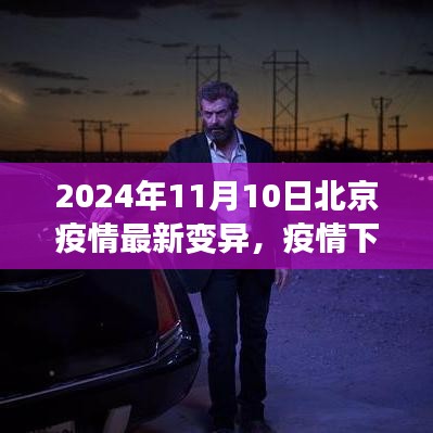 北京疫情最新變異下的溫情與友情日常，2024年11月10日最新觀察