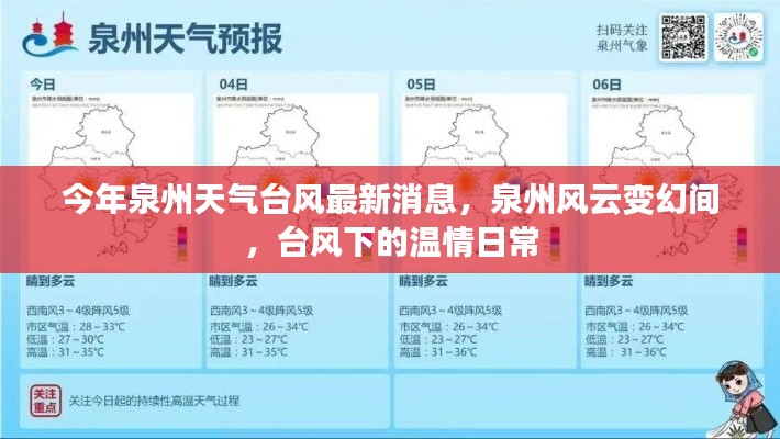 泉州臺風(fēng)最新消息，風(fēng)云變幻中的溫情日常