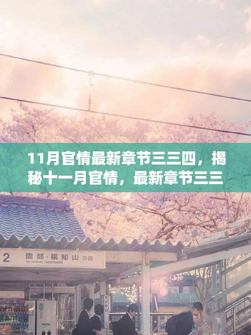 揭秘十一月官情最新章節(jié)三三四，深度解讀與要點(diǎn)詳解