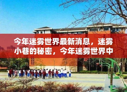 揭秘迷霧世界，迷霧小巷的秘密與今年隱藏瑰寶新發(fā)現(xiàn)