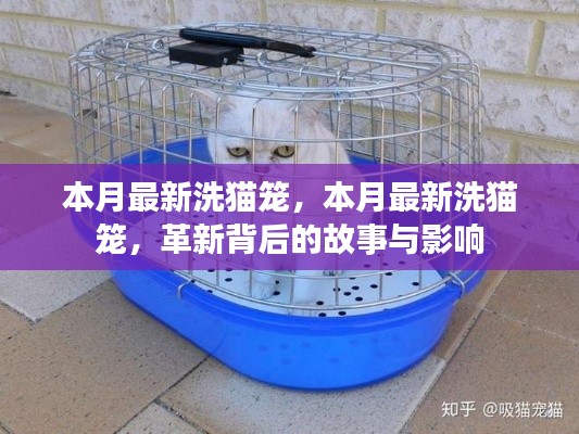 本月最新洗貓籠，革新背后的故事與深遠(yuǎn)影響