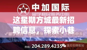 方城最新招聘信息揭秘，小巷秘境與獨(dú)特小店之旅