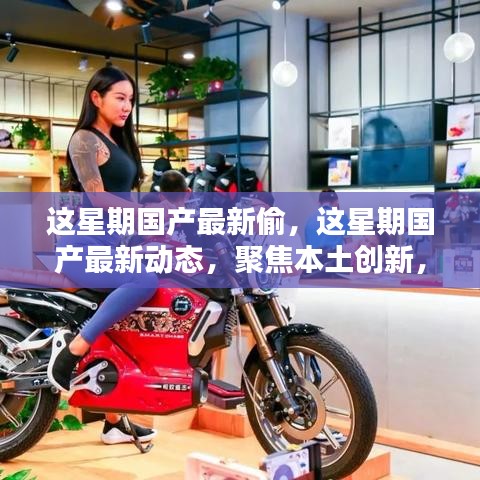 本周國產(chǎn)最新動態(tài)聚焦，本土創(chuàng)新動態(tài)與產(chǎn)業(yè)新動向的洞悉