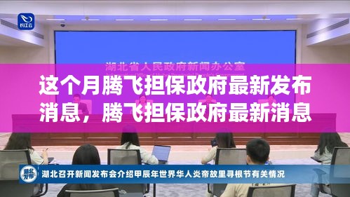 騰飛擔(dān)保政府最新消息解讀與操作指南，初學(xué)者與進(jìn)階用戶必讀指南
