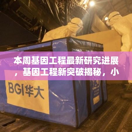 基因工程新突破揭秘，小巷深處的未來科技實驗室本周最新進(jìn)展報道！
