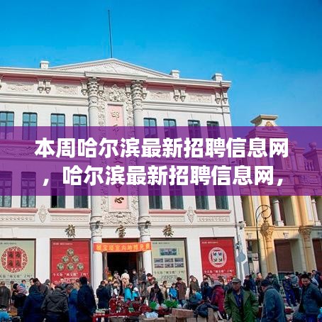 時代脈搏下的招聘風(fēng)向標(biāo)，本周哈爾濱最新招聘信息網(wǎng)匯總