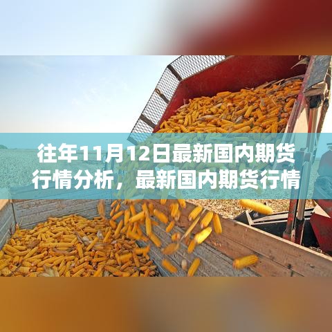 最新國內期貨行情分析指南，針對初學者與進階用戶的期貨行情步驟解析（往年11月12日版）