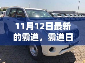 11月12日霸道日常，溫馨小事的記錄