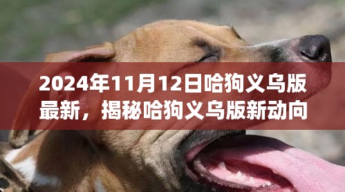 揭秘哈狗義烏版新動向，深度解讀與最新動態(tài)（2024年11月12日）