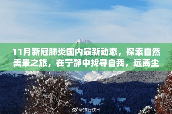 11月新冠肺炎國內(nèi)最新動(dòng)態(tài)，探索自然美景，寧靜中找尋自我，迎接抗疫新篇章的旅行體驗(yàn)