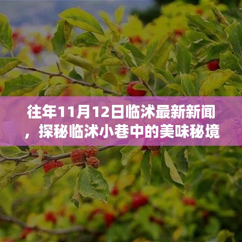 探秘臨沭小巷美味秘境，11月12日臨沭最新新聞中的隱藏美食店揭秘