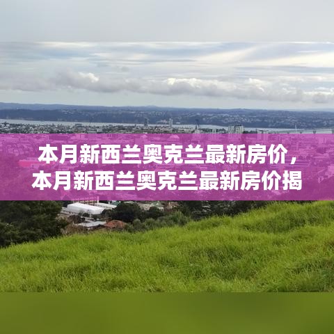 新西蘭奧克蘭最新房價揭秘，投資與居住的新熱點本月動態(tài)分析