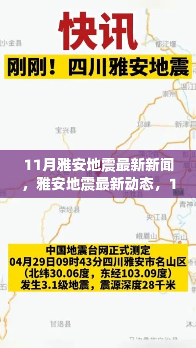雅安地震最新動態(tài)，救援進展報告及地震活動更新（11月版）