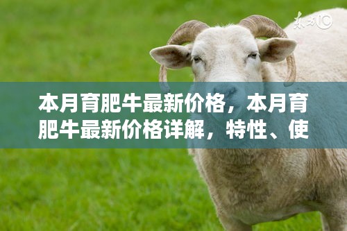 本月育肥牛價(jià)格詳解，特性、體驗(yàn)、競品對比及用戶群體分析
