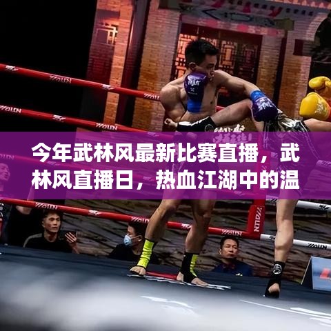 武林風(fēng)直播日，熱血江湖中的溫情瞬間與最新比賽直播回顧
