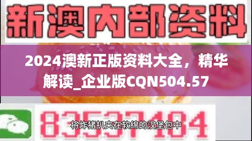 2024澳新正版資料大全，精華解讀_企業(yè)版CQN504.57