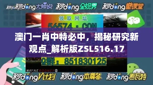 澳門一肖中特必中，揭秘研究新觀點_解析版ZSL516.17