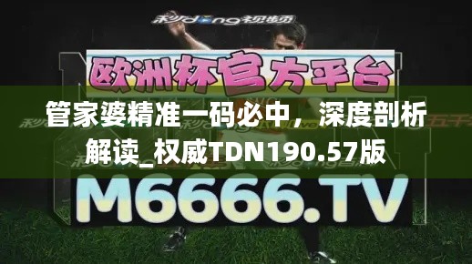管家婆精準(zhǔn)一碼必中，深度剖析解讀_權(quán)威TDN190.57版
