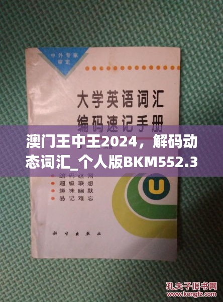 澳門王中王2024，解碼動態(tài)詞匯_個人版BKM552.33指南