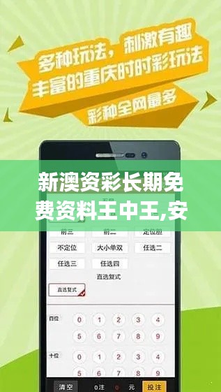 新澳資彩長期免費(fèi)資料王中王,安全策略評估方案_創(chuàng)意版WVD609.82