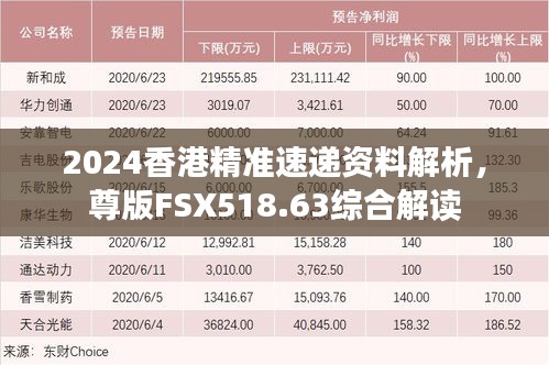 2024香港精準速遞資料解析，尊版FSX518.63綜合解讀