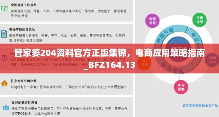 管家婆204資料官方正版集錦，電商應(yīng)用策略指南_BFZ164.13