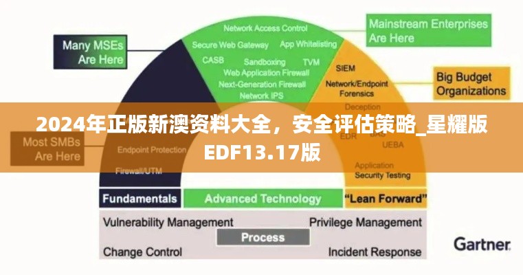 2024年正版新澳資料大全，安全評估策略_星耀版EDF13.17版