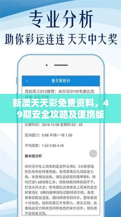新澳天天彩免費資料，49期安全攻略及便攜版VTQ959.19解析