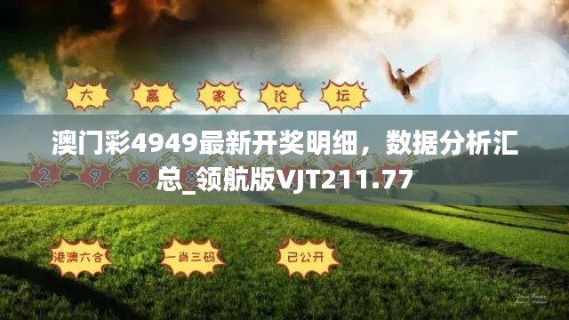 澳門彩4949最新開獎明細，數(shù)據(jù)分析匯總_領(lǐng)航版VJT211.77