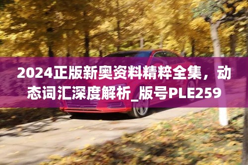 2024正版新奧資料精粹全集，動(dòng)態(tài)詞匯深度解析_版號(hào)PLE259.74