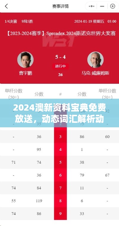 2024澳新資料寶典免費放送，動態(tài)詞匯解析動畫版AMO141.23