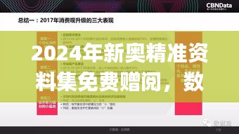 2024年新奧精準(zhǔn)資料集免費(fèi)贈(zèng)閱，數(shù)據(jù)解讀詳盡_授權(quán)版ARV587.79