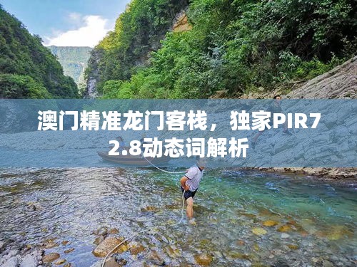 澳門精準龍門客棧，獨家PIR72.8動態(tài)詞解析