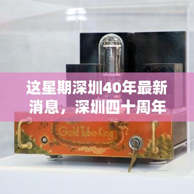 深圳四十周年慶典活動指南，最新消息與參與流程揭秘