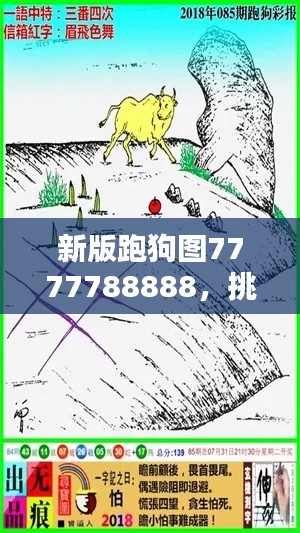 新版跑狗圖7777788888，挑戰(zhàn)TDM565.02資料解析