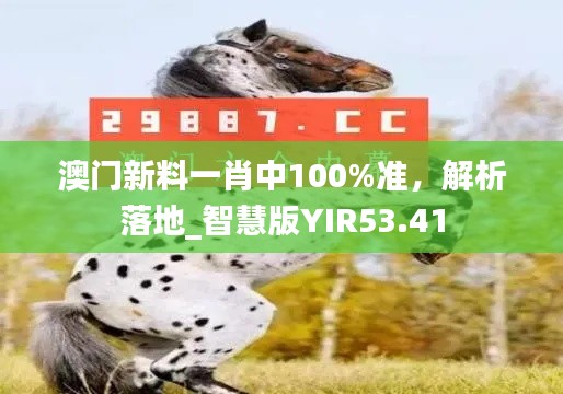 澳門新料一肖中100%準(zhǔn)，解析落地_智慧版YIR53.41