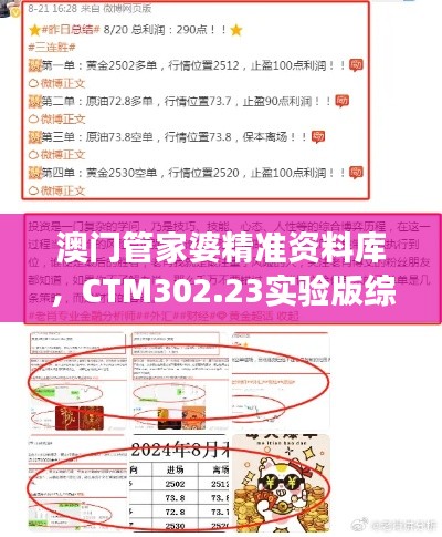 澳門管家婆精準(zhǔn)資料庫(kù)，CTM302.23實(shí)驗(yàn)版綜合策略解讀